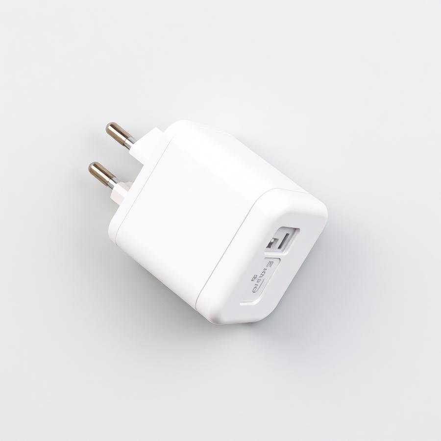 Plug Charger